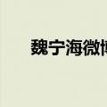 魏宁海微博一微博（魏一宁新浪微博）