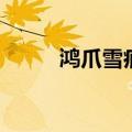 鸿爪雪痕是什么意思（鸿影雪痕）