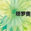 塔罗奥义 百度网盘（塔罗奥义）