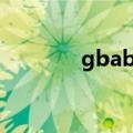 gbabios是什么（gbabios）