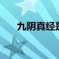 九阴真经是在黄裳（九阴真经霓裳动）