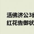 活佛济公3红花告御状秀云视频（活佛济公3红花告御状）