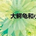 大鳄龟和小鳄龟的寿命（大鳄龟寿命）