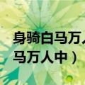 身骑白马万人中,左牵黄,右擎苍,京剧（身骑白马万人中）
