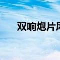 双响炮片尾曲听不到（双响炮片尾曲）