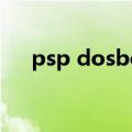 psp dosbox怎么输入（psp dosbox）