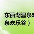 东丽湖温泉欢乐谷门票多少钱（东丽湖水上温泉欢乐谷）