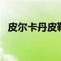 皮尔卡丹皮鞋是哪国品牌（皮尔卡丹皮鞋）