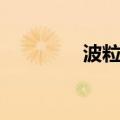 波粒智能高清（波粒智能）
