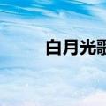 白月光歌词张信哲（白月光 歌词）