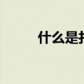 什么是打油诗句（什么是打油诗）