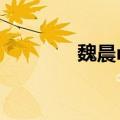 魏晨mv女主角（魏晨吻戏）