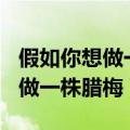假如你想做一株腊梅读后感100字（假如你想做一株腊梅）