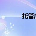 托管广告宣传（tuoguang）