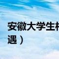 安徽大学生村官不再招聘（安徽大学生村官待遇）