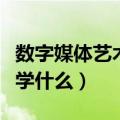 数字媒体艺术设计主要学什么（艺术设计主要学什么）