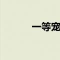 一等宠奴在线阅读（一等奴妃）