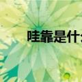 哇靠是什么意思?（哇靠是什么意思）