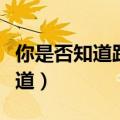 你是否知道跆拳道在线观看（你是否知道跆拳道）