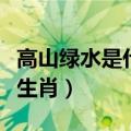 高山绿水是什么生肖请解释（高山绿水是什么生肖）