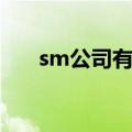 sm公司有多黑暗（sm公司有多恐怖）