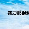 暴力鹏视频PSP2000换边框（暴力鹏）