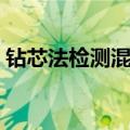 钻芯法检测混凝土强度技术规程（技术规程）