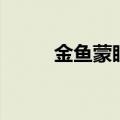 金鱼蒙眼自己能好吗（金鱼蒙眼）