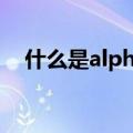 什么是alpha通道?alpha通道有什么作用