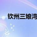 钦州三娘湾海豚最佳时间（钦州三娘湾）