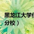 黑龙江大学伊春分校毕业证（黑龙江大学伊春分校）