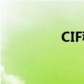 CIF租船订舱（租船订舱）