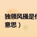 独领风搔是什么意思打一肖（独领风搔是什么意思）