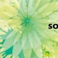 solohd2.0（solohd）