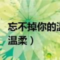 忘不掉你的温柔我的泪不停在流（忘不掉你的温柔）