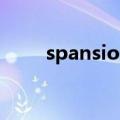 spansion被谁收购了（spansion）
