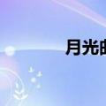 月光曲伴奏（月光爱人伴奏）