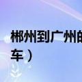 郴州到广州的火车票多少钱（郴州到广州的火车）