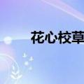 花心校草从良记（不良校花从良记）