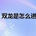 双龙是怎么进去的视频（双龙是怎么进去的）