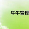 牛牛管理工具（牛牛桌面管理大师）