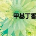 甲基丁香油哪里有卖（甲基丁香油）