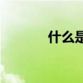 什么是esp分区（什么是esp）