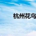 杭州花鸟市场买猫（杭州花鸟市场）