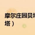 摩尔庄园贝塔和大卫的车型图纸（摩尔庄园贝塔）