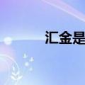 汇金是什么平台（汇金是什么）