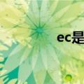 ec是什么牌子（ec是什么）