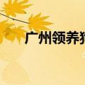 广州领养狗狗的地方（广州领养狗狗）