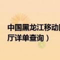 中国黑龙江移动网上营业厅详单查询（黑龙江移动网上营业厅详单查询）