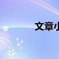 文章小贝电视剧（文章 小贝）